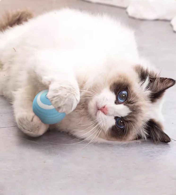 Interaktivní míček PetGravity v.2 pro kočky - Barva: Růžová